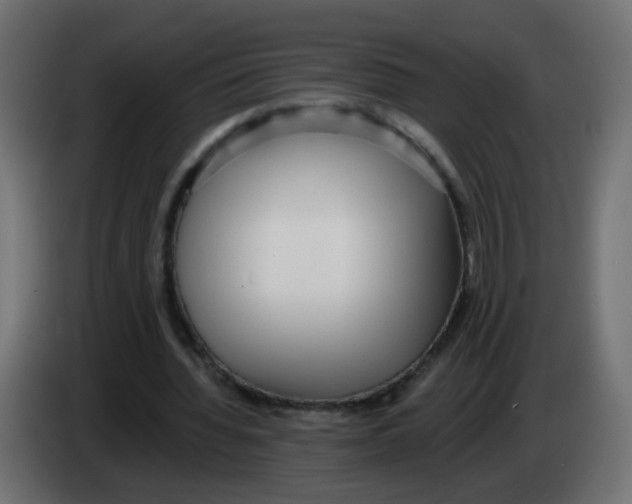 X0000083050436200703022114