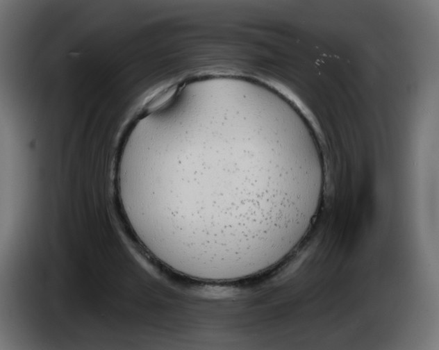 X0000083050437200703022114