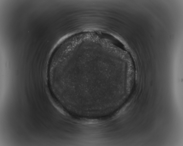 X0000083050438200703022114