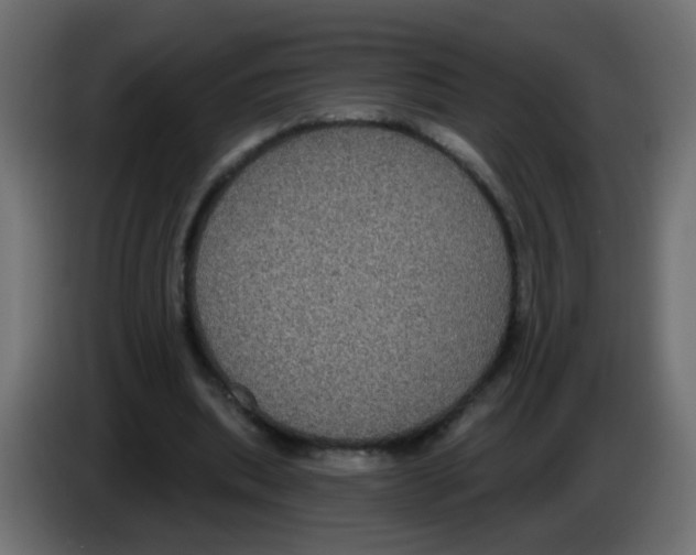 X0000083050439200703022114