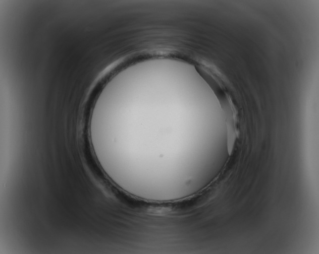 X0000083050440200703022114