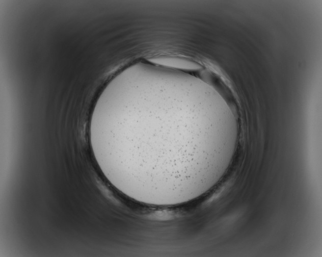 X0000083050441200703022114