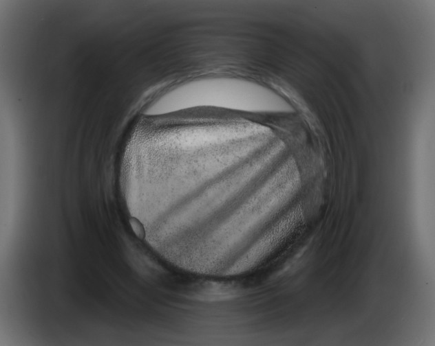 X0000083050442200703022114