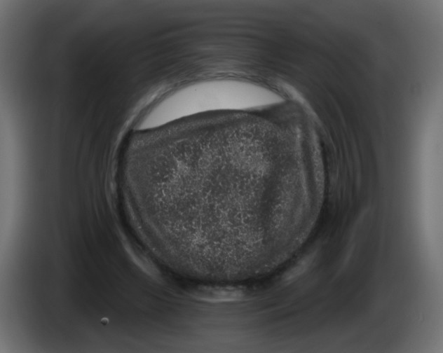 X0000083050443200703022114