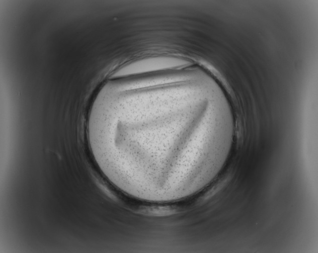 X0000083050445200703022114