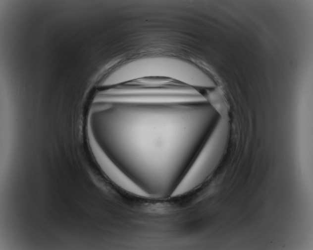 X0000083050446200703022114