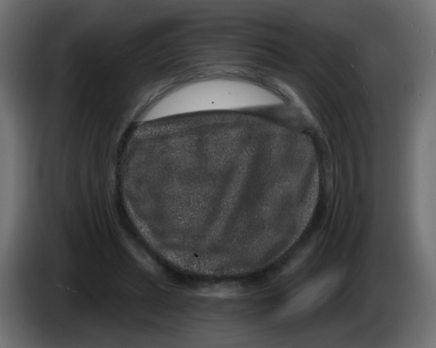 X0000083050447200703022114