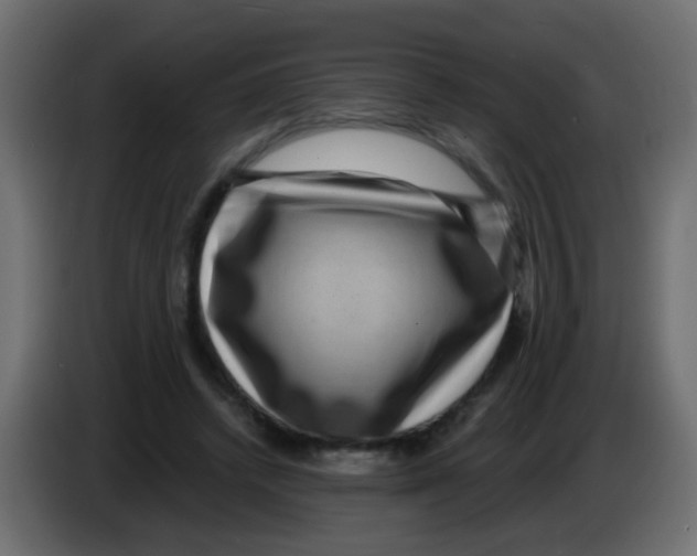 X0000083050448200703022114