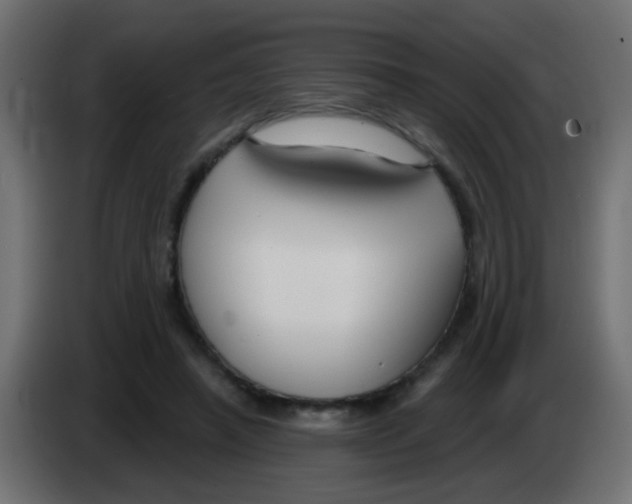 X0000083050450200703022114