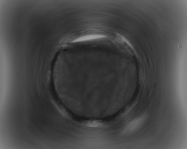 X0000083050451200703022114