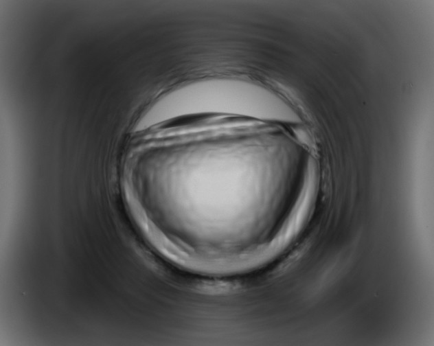 X0000083050453200703022114