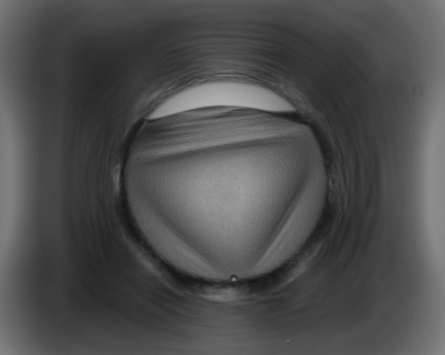 X0000083050454200703022114