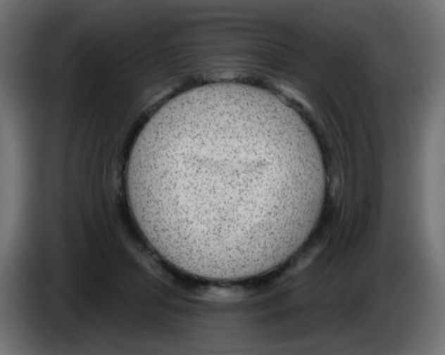 X0000083050455200703022114