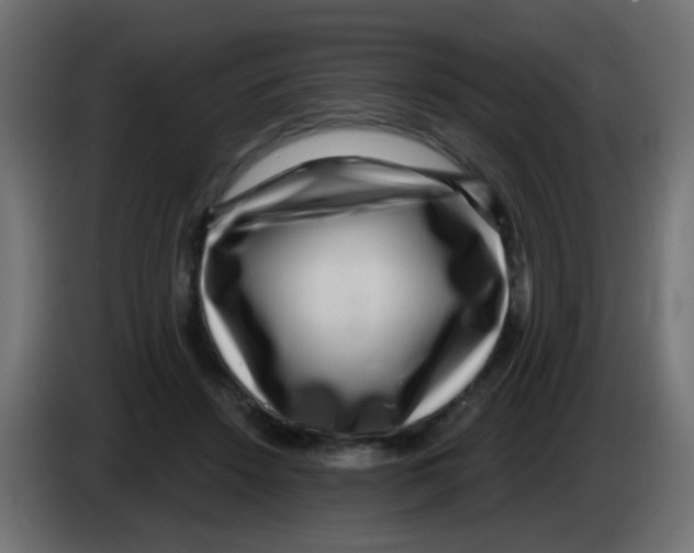 X0000083050456200703022114