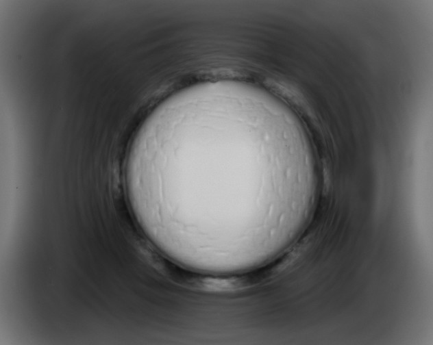 X0000083050457200703022114