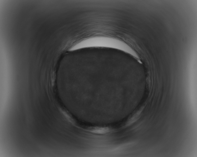 X0000083050458200703022114