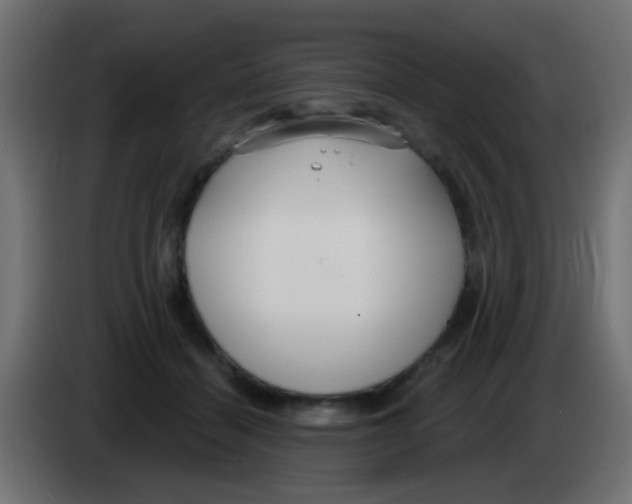 X0000083050460200703022114