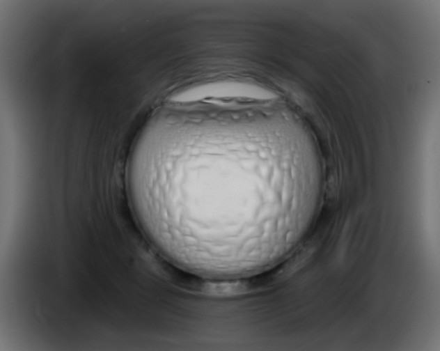 X0000083050461200703022114