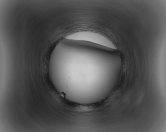 X0000083050464200703022115