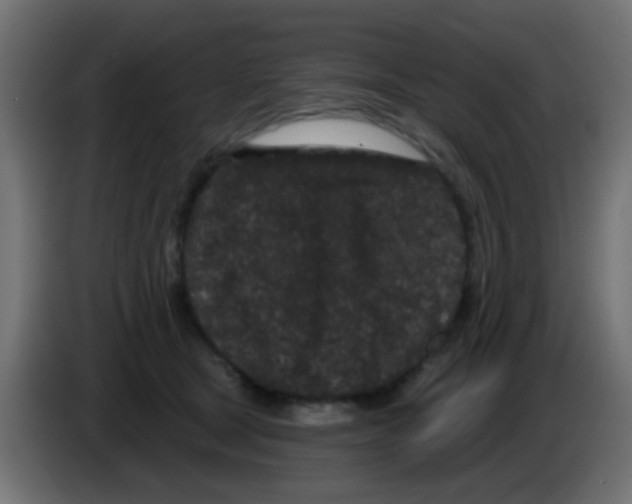 X0000083050465200703022115