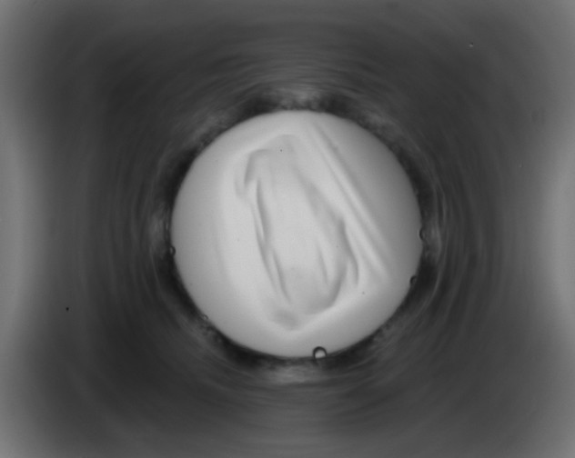 X0000083050468200703022115