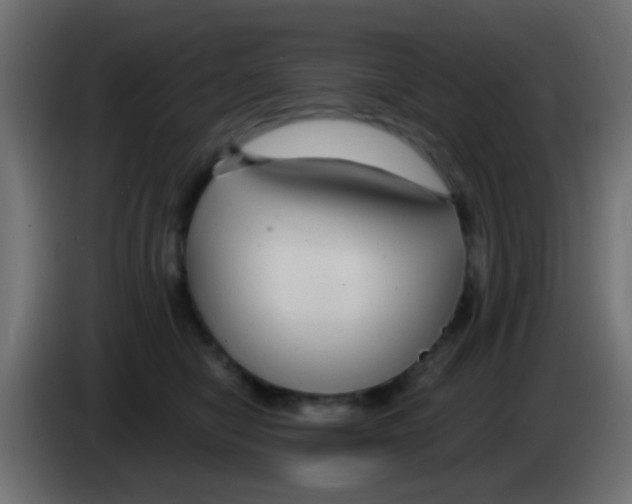 X0000083050470200703022115