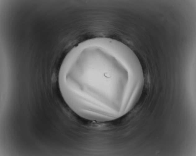 X0000083050472200703022115