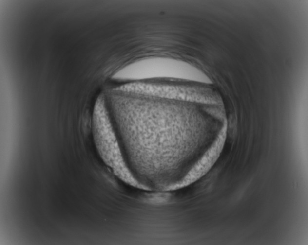 X0000083050474200703022115