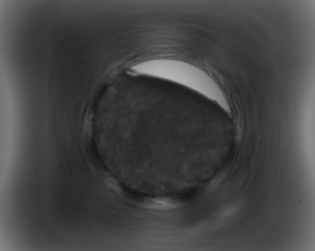 X0000083050475200703022115