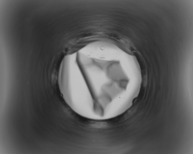 X0000083050476200703022115