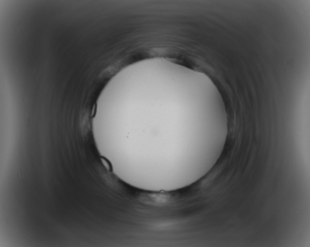 X0000083050478200703022115