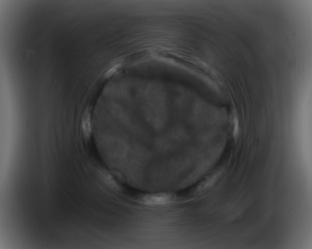 X0000083050479200703022115