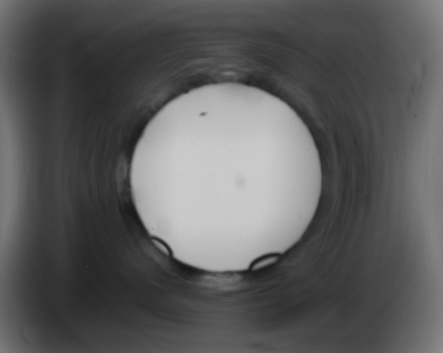 X0000083050480200703022115