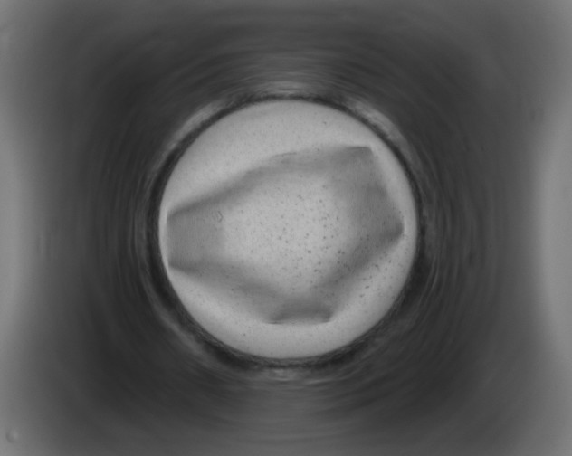 X0000083050482200703022114