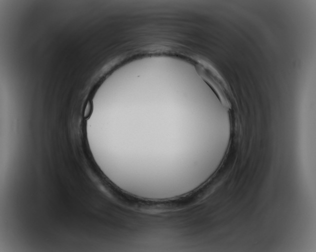 X0000083050485200703022114