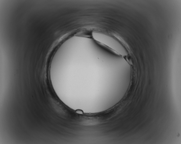 X0000083050486200703022114