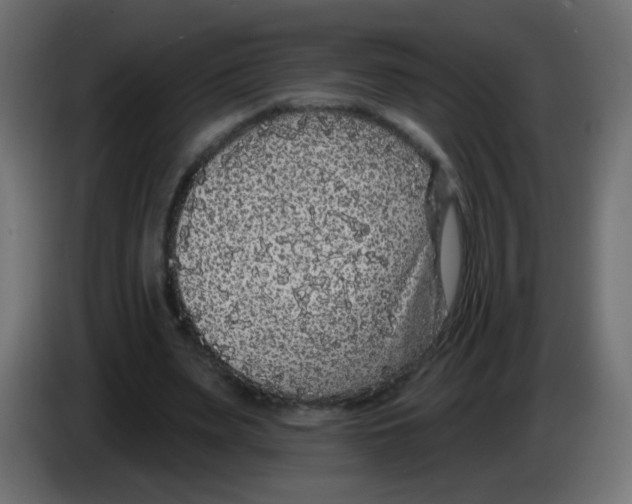 X0000083050487200703022114