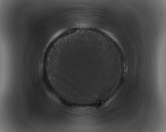 X0000083050488200703022114