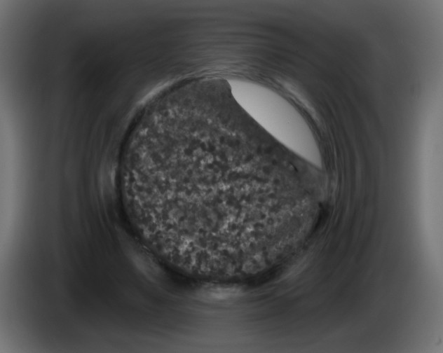 X0000083050491200703022114