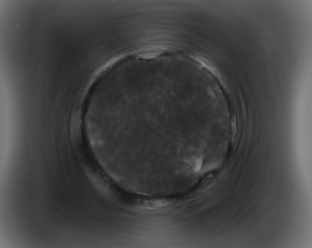 X0000083050492200703022114