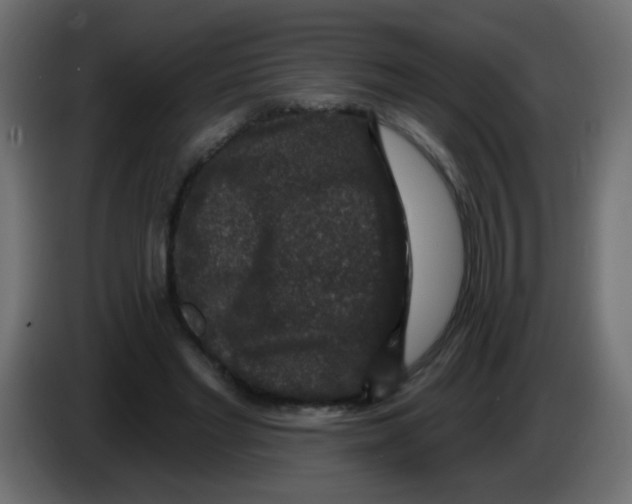 X0000083050493200703022114