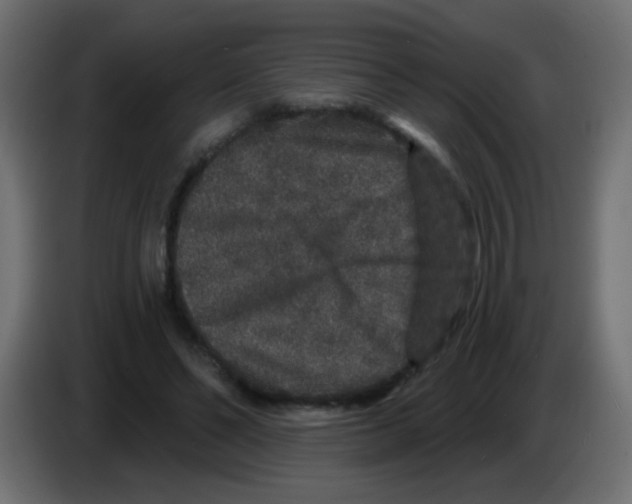 X0000083050494200703022114