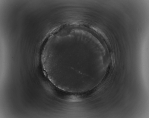 X0000083050496200703022114