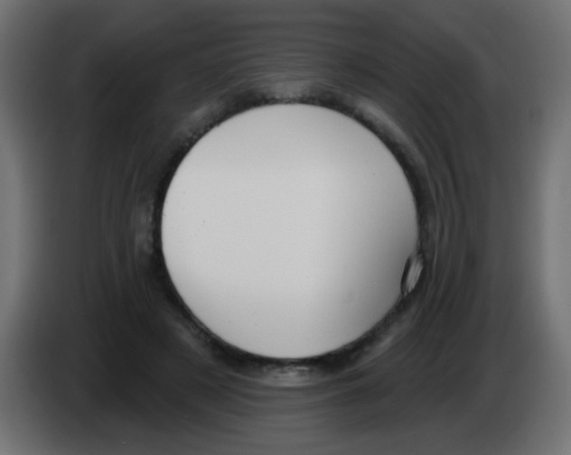 X0000083050497200703022114