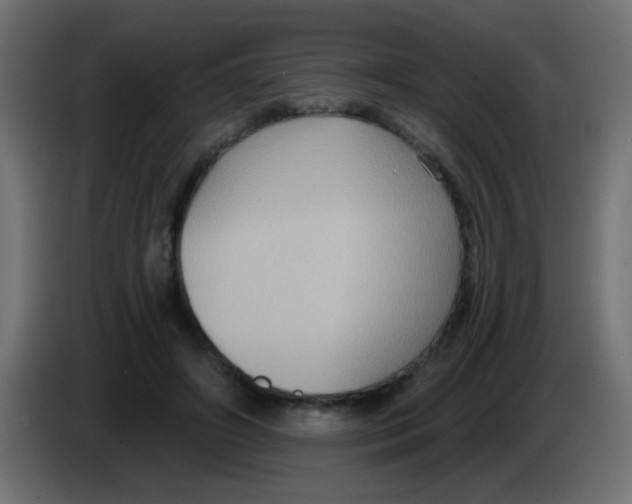 X0000083050498200703022114