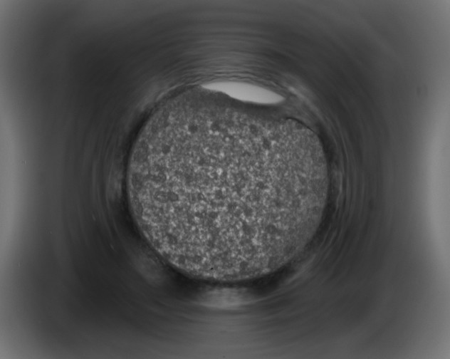 X0000083050499200703022114