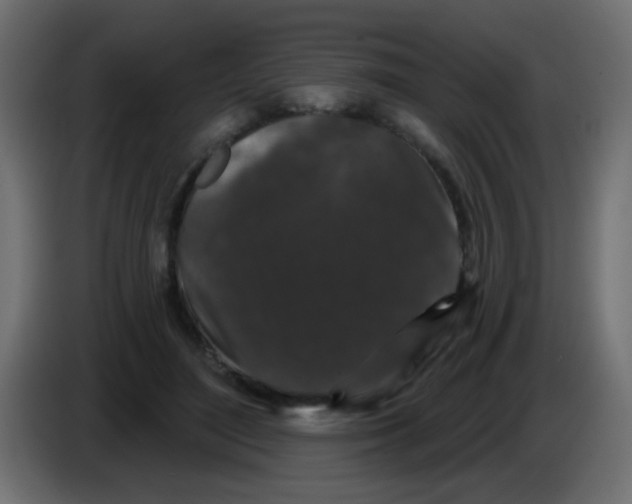 X0000083050500200703022114