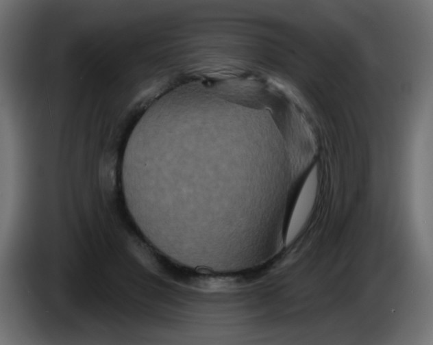 X0000083050501200703022114