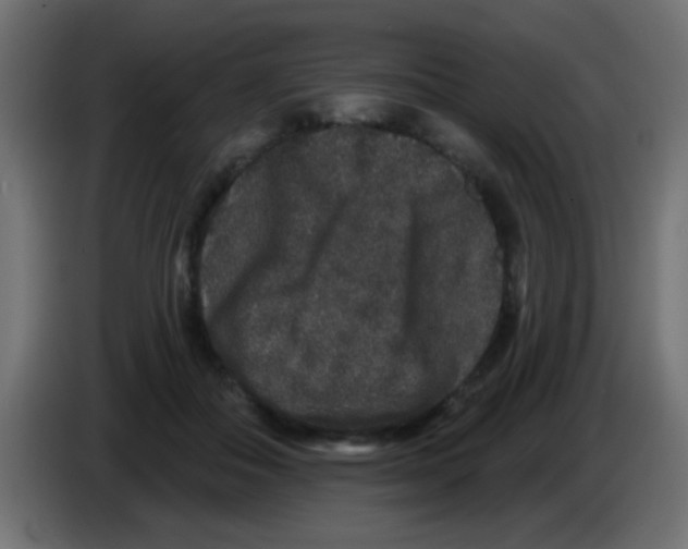 X0000083050506200703022114