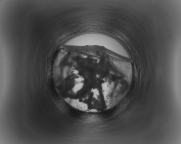 X0000083050507200703022114